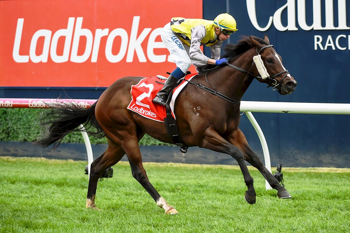 Prince Of Sussex winning the VOBIS Showdown 27 April 2019